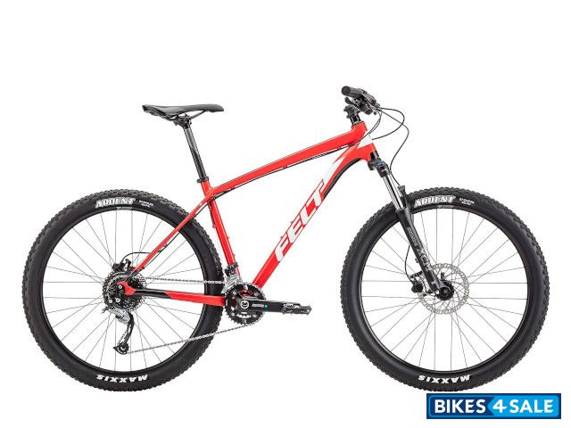 Felt Dispatch 7/70 2019