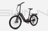 Flebi Swan