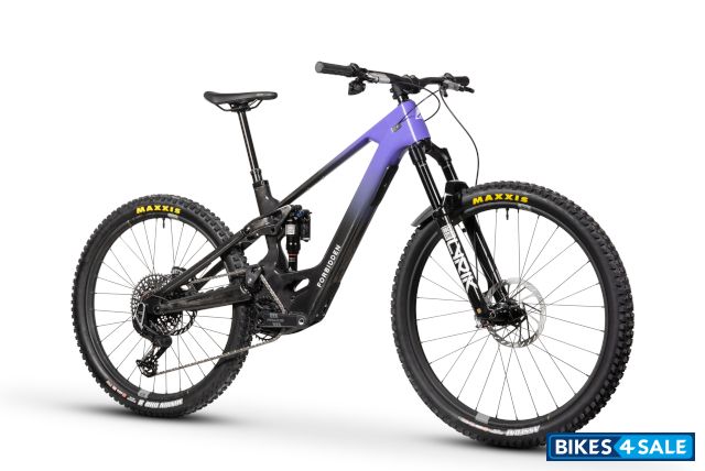 Forbidden Druid Lite 1