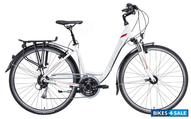 Gepida Alboin 300 28 W 24S