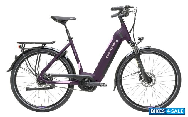 Gepida Bonum Edge 26 W 8R D