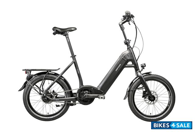 Gepida Pugio Nexus 8