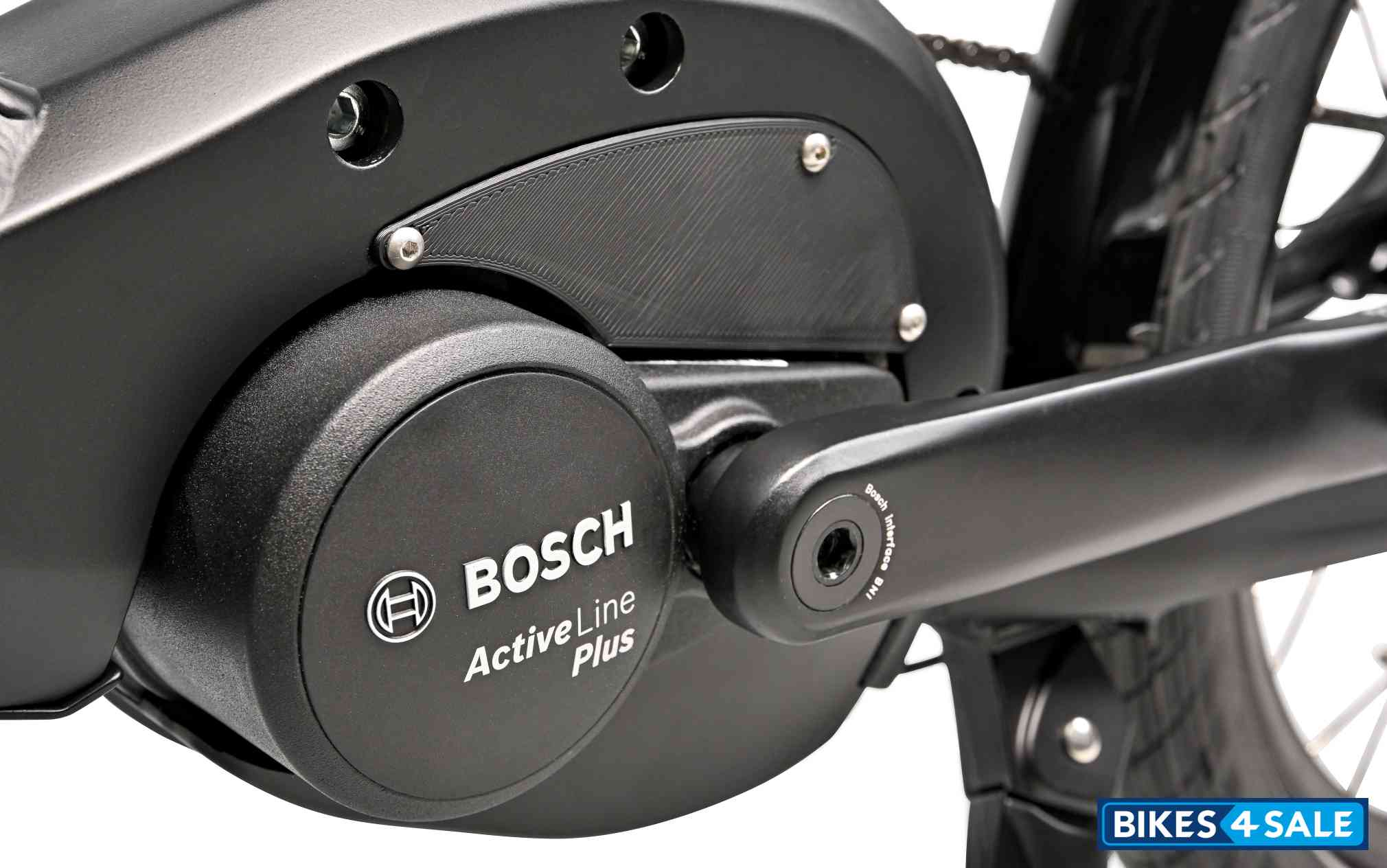 Gepida Pugio Nexus 8