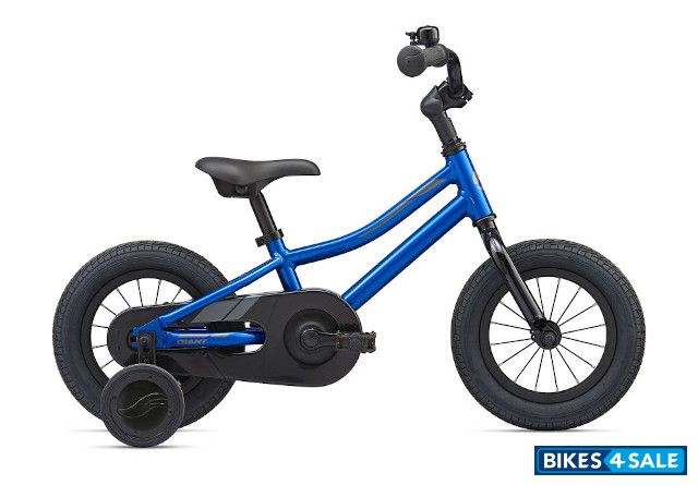 Giant Animator C/B 12 2021