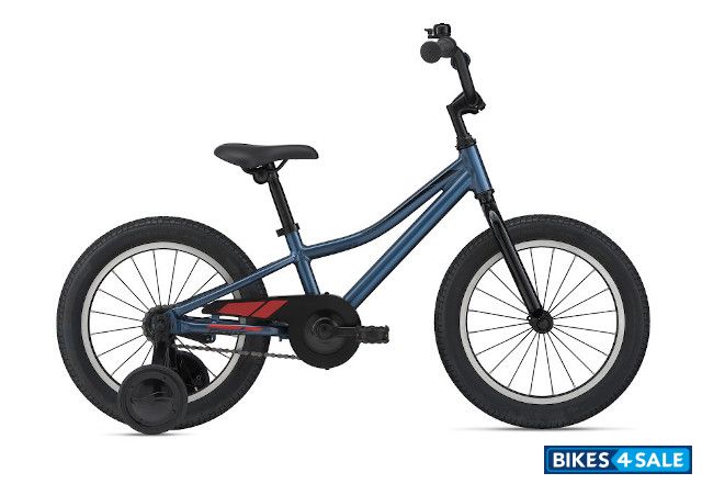 Giant Animator C/B 16 2021