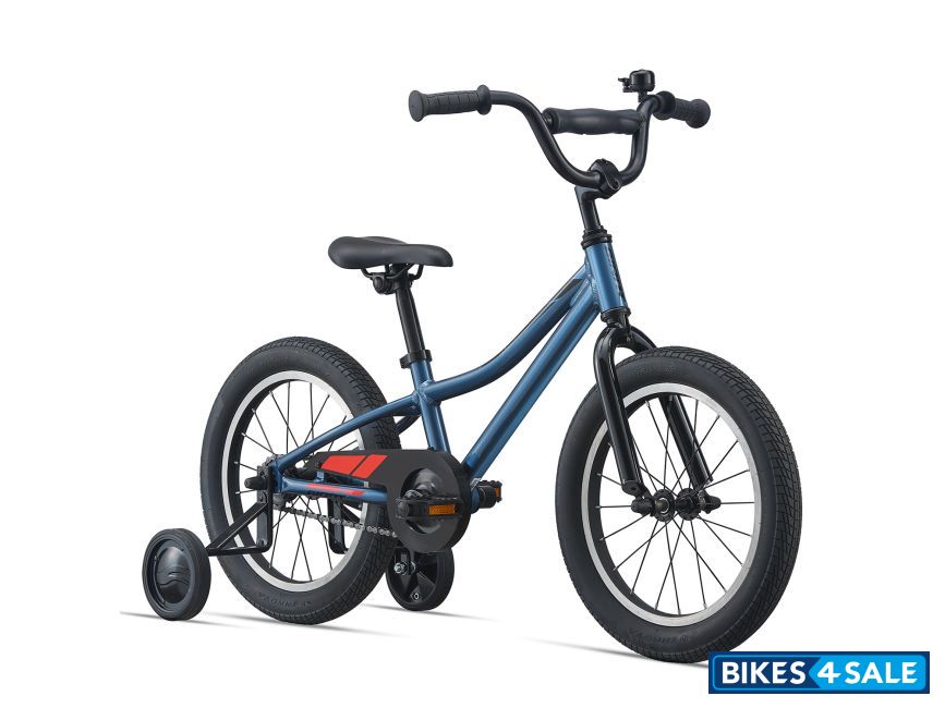 Giant Animator C/B 16 2021