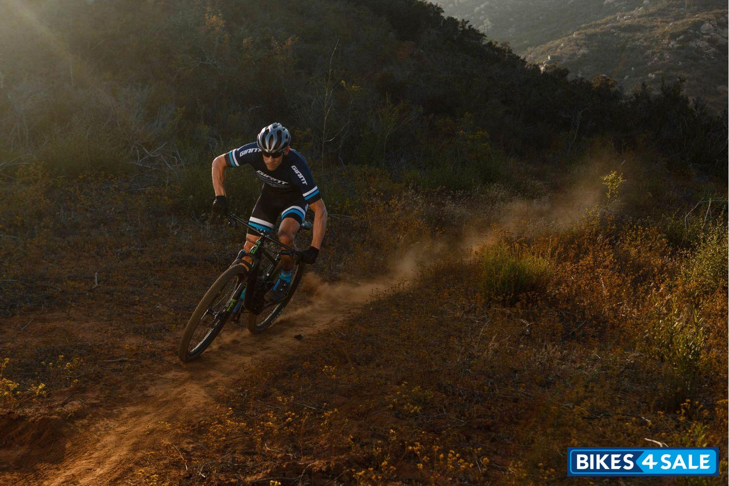 Giant Anthem 29 2 NX Eagle 2019