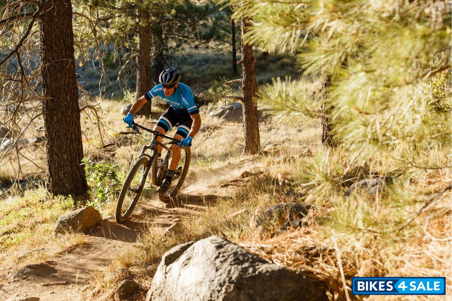 Giant Anthem Advanced Pro 29 0 2019