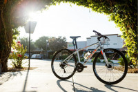 Giant Escape 1 Disc 2019 Bicycle: Price 