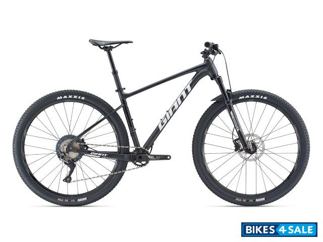 Giant Fathom 29 1 2019