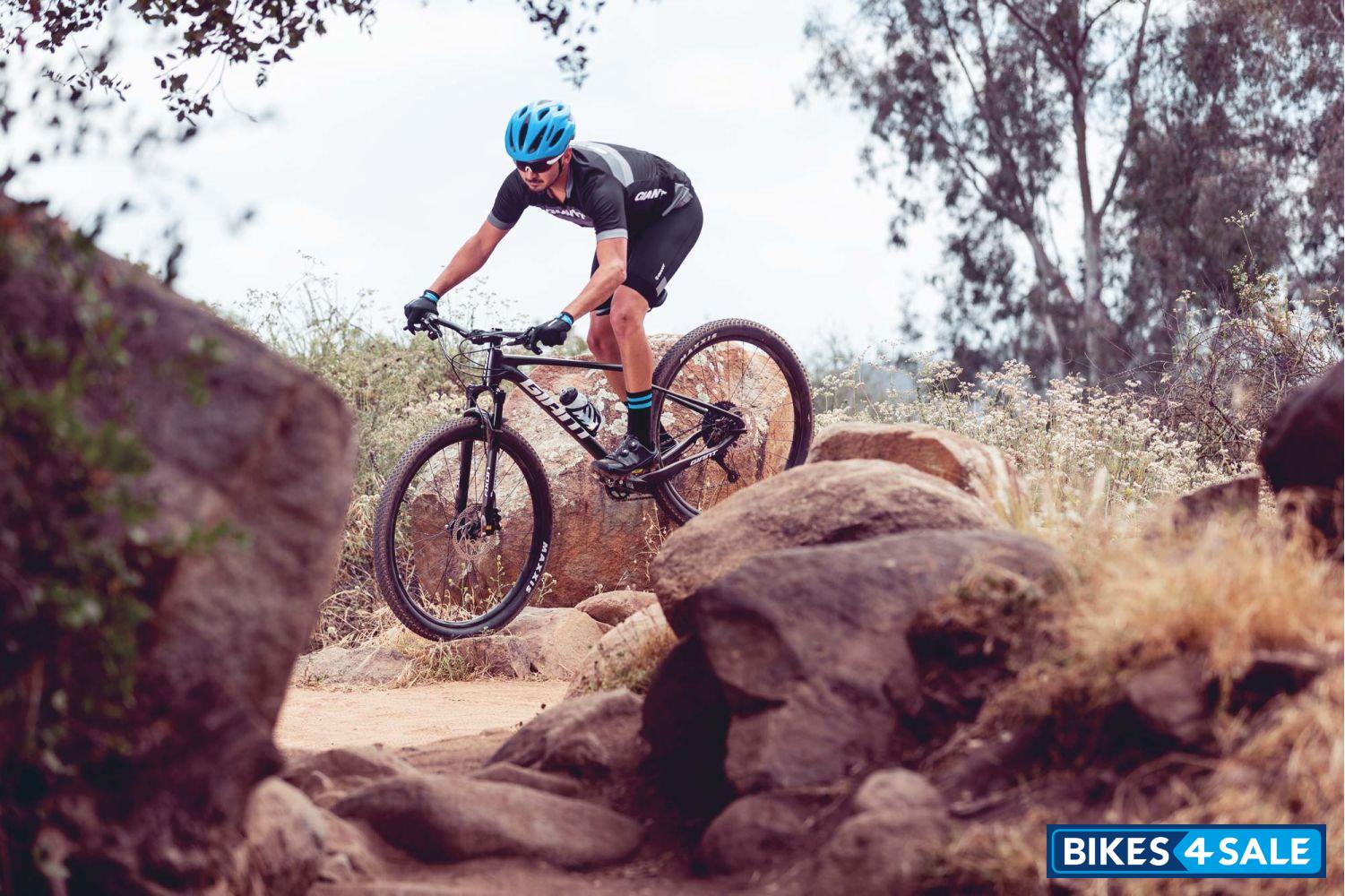 Giant Fathom 29 1 2019