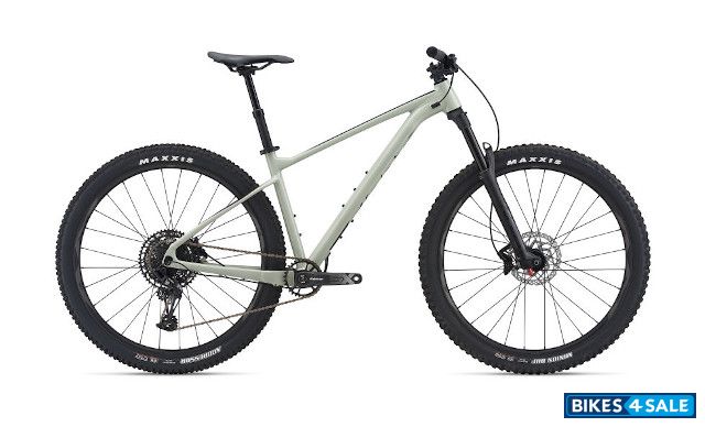 Giant Fathom 29 1 2021