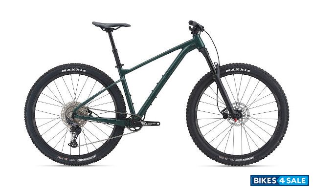 Giant Fathom 29 2 2021