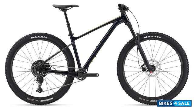 Giant Fathom 29 2 2024 Giant Fathom 29 2 2024