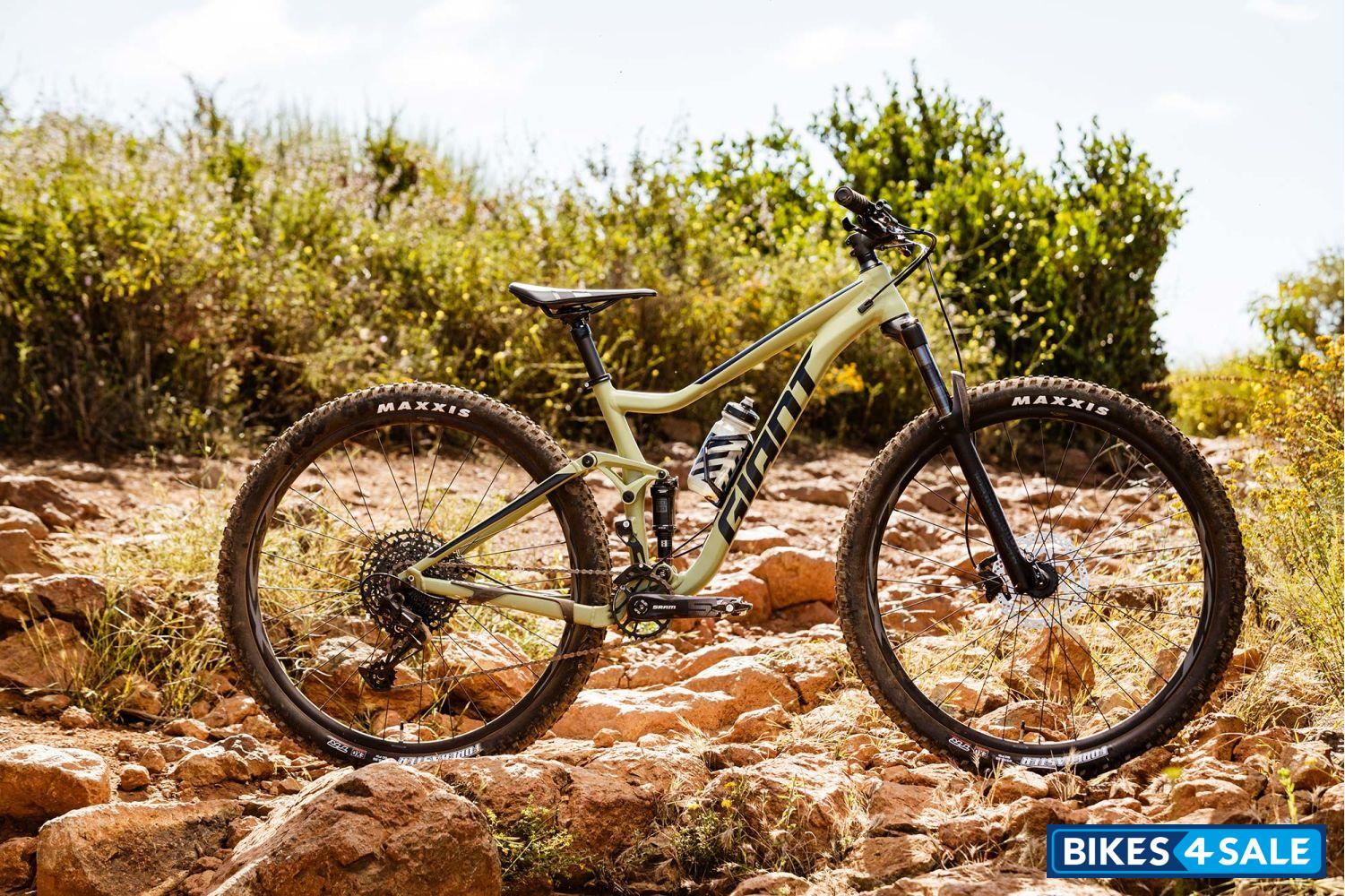 Giant Stance 29 1 2020