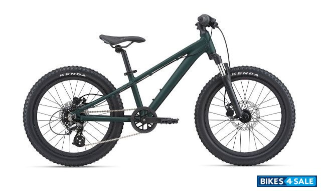 Giant STP 20 FS 2021