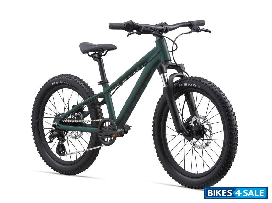 Giant STP 20 FS 2021