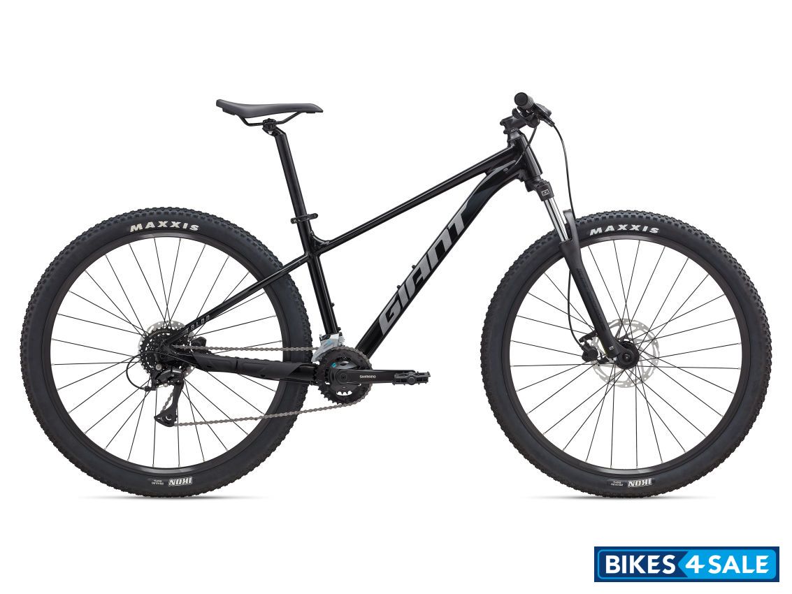 Giant Talon 3 2025 Panther