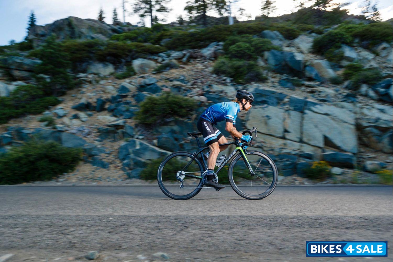 Giant TCR Advanced Pro Team