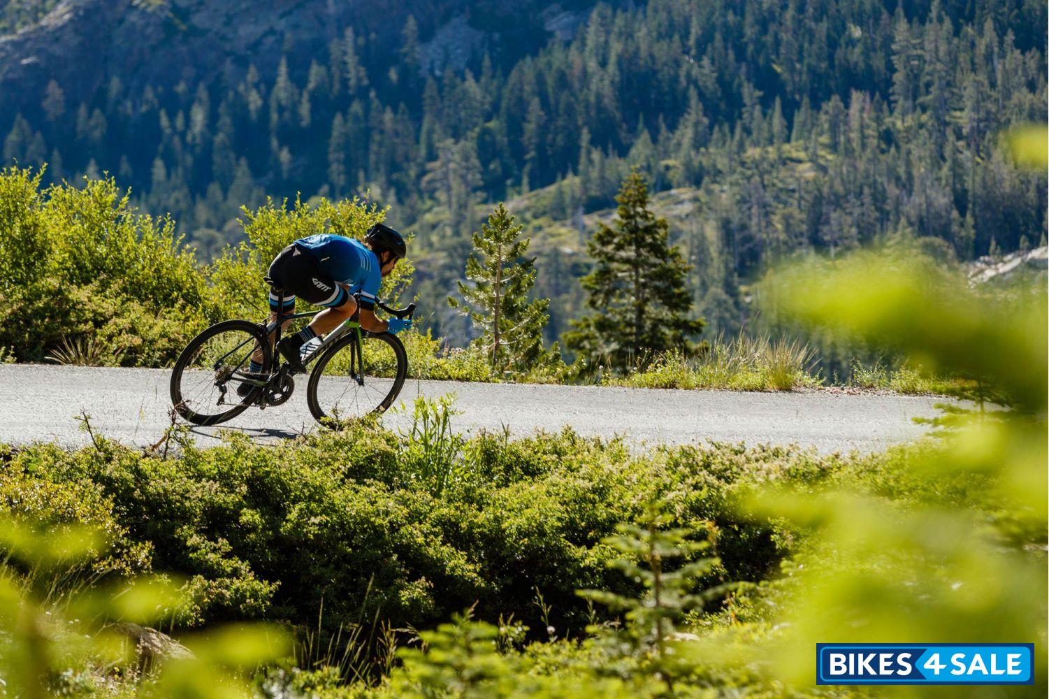 Giant TCR Advanced Pro Team