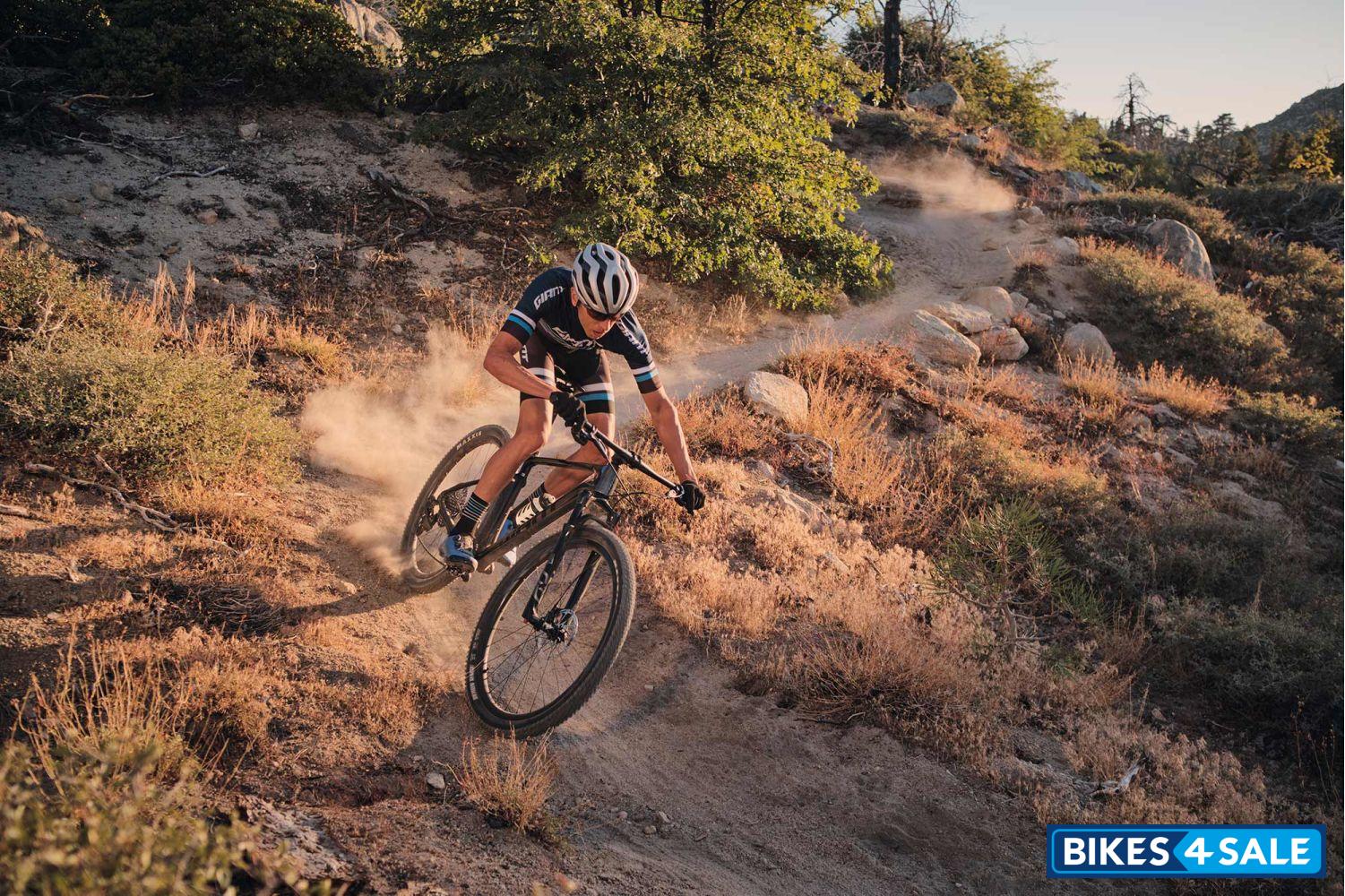 Giant XTC Advanced SL 29 1 2020