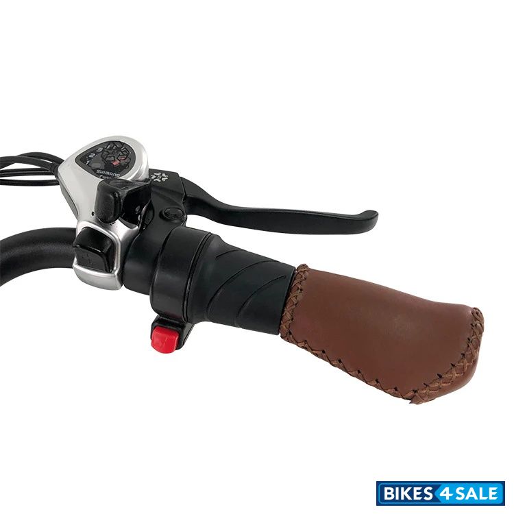 Glarewheel EB-Rupro Step-through