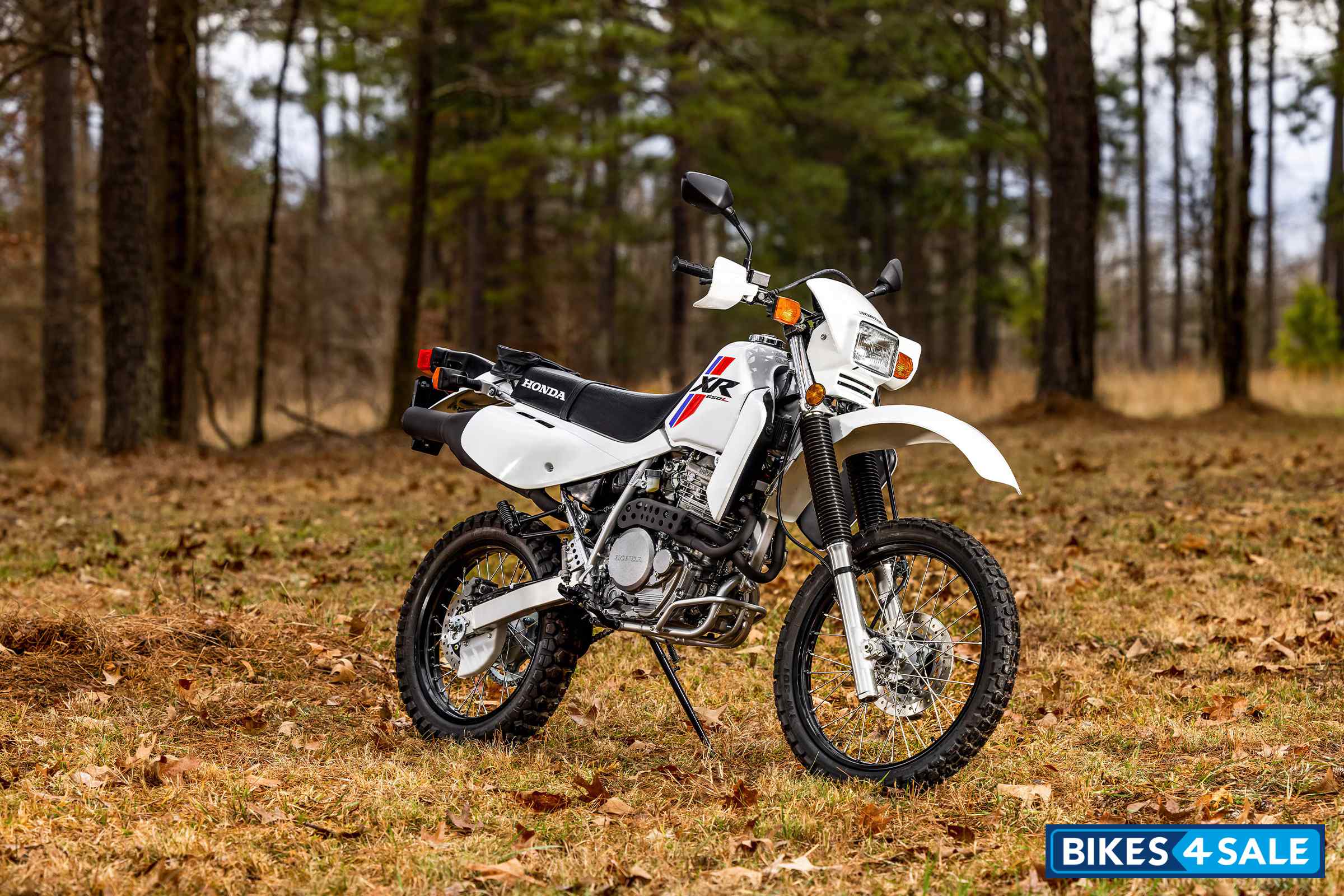 Honda 2024 XR650L