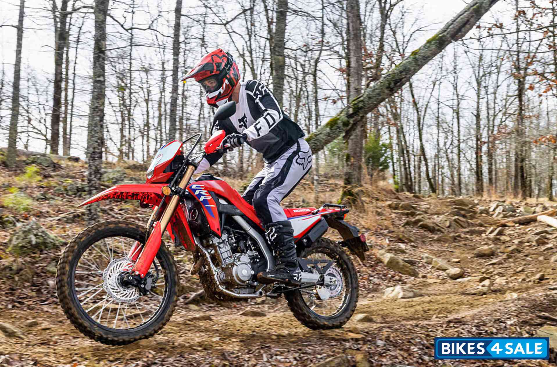 Honda CRF300L 2025