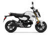 Honda Grom ABS 2026