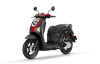 Honda Scoopy Club 12