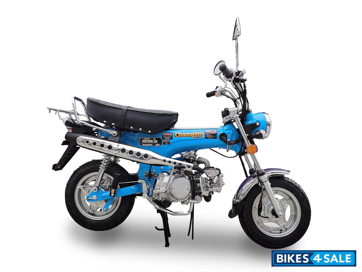 Icebear Champion Crusin Blue