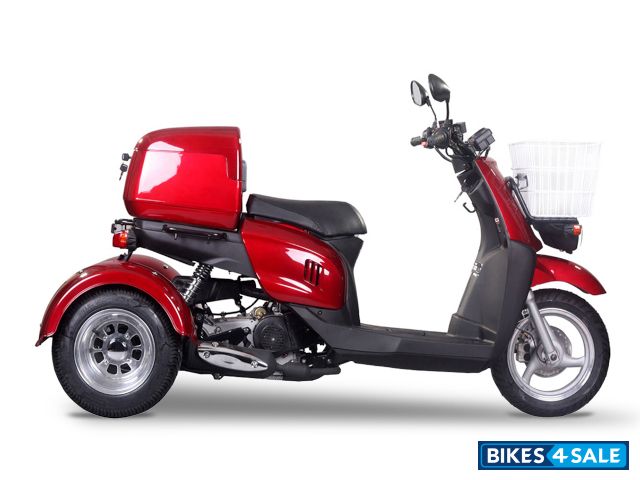 Icebear Mini Cruzzer