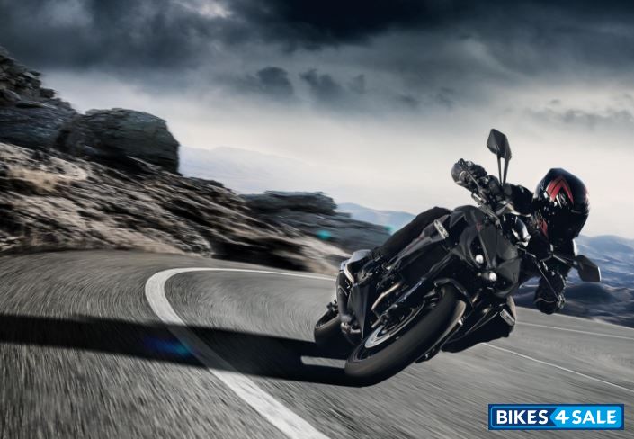 Kawasaki 2020 Z1000 Performance