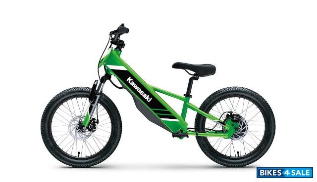 Kawasaki 2025 Elektrode 20