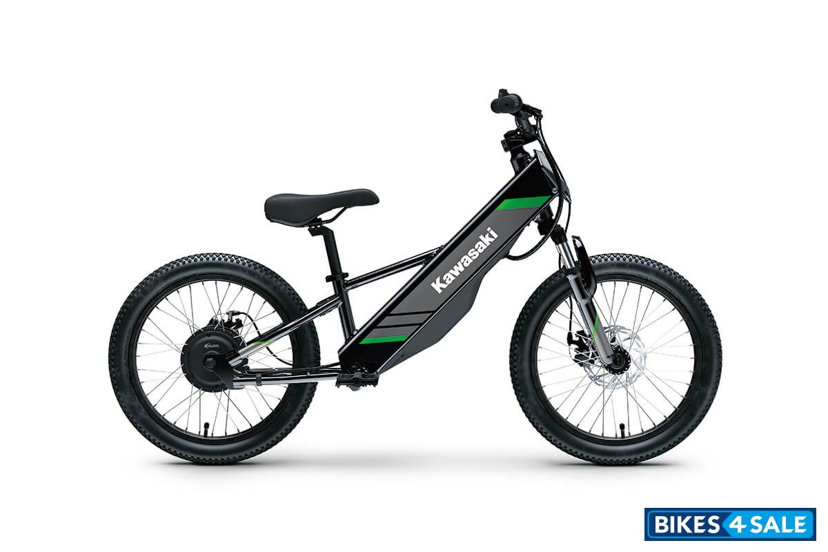 Kawasaki 2025 Elektrode 20
