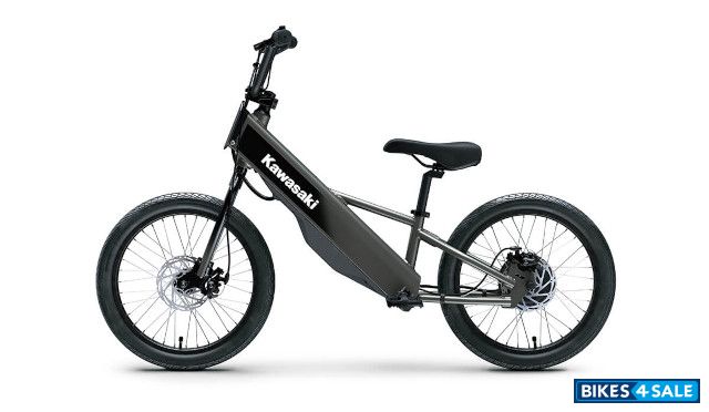 Kawasaki 2025 Elektrode 20FS