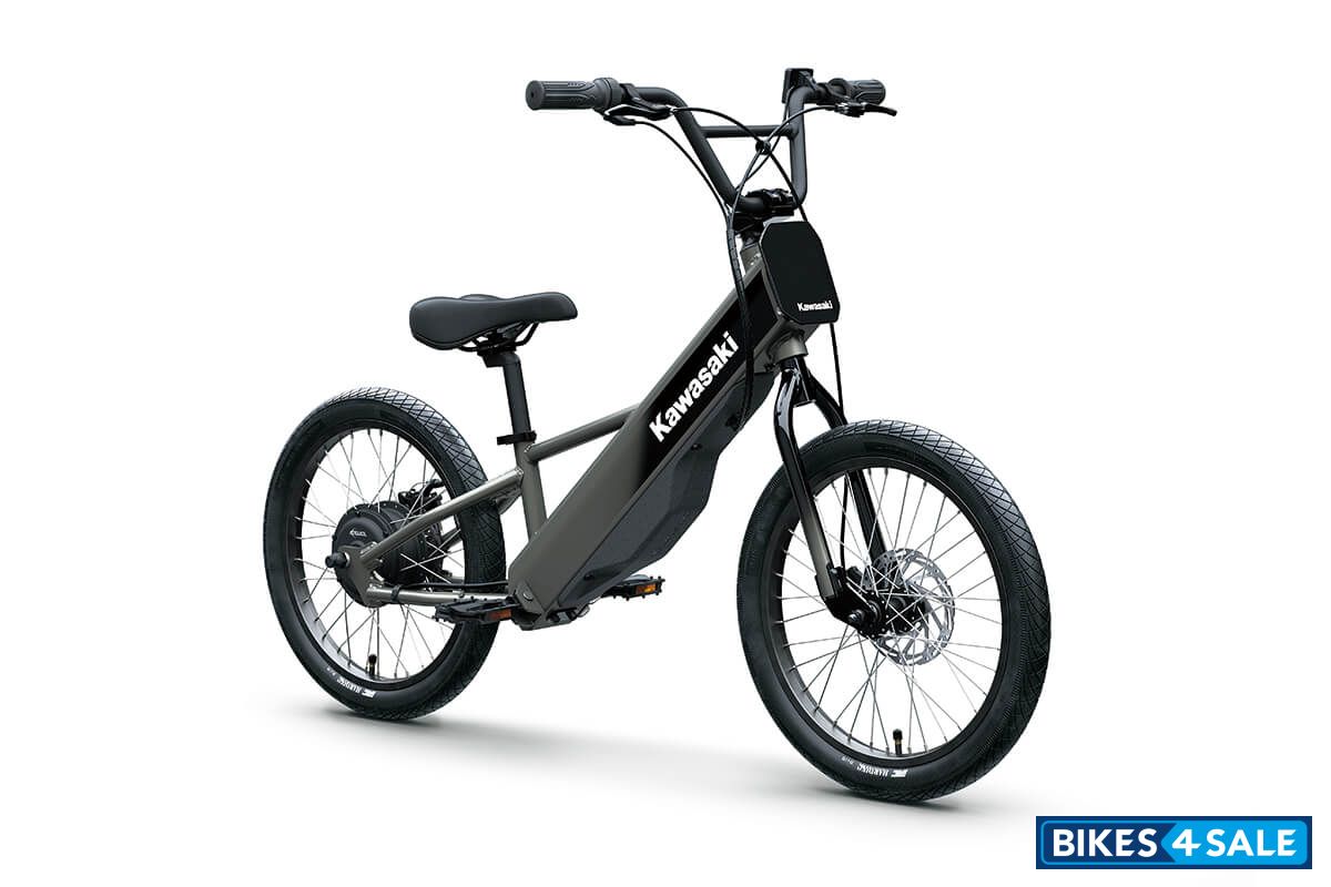 Kawasaki 2025 Elektrode 20FS