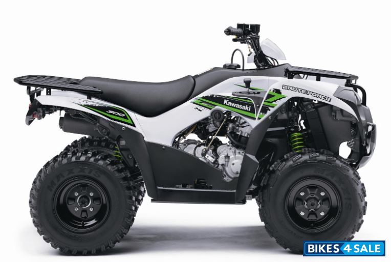 Kawasaki Brute Force 300