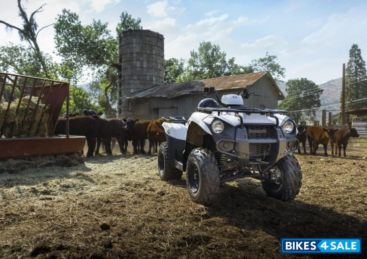 Kawasaki Brute Force 300
