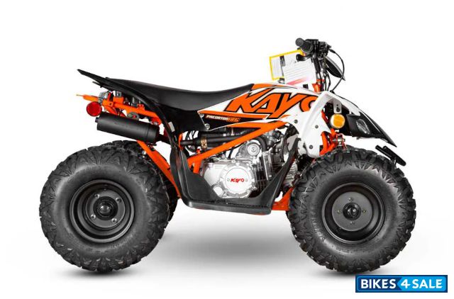 Kayo Predator 125