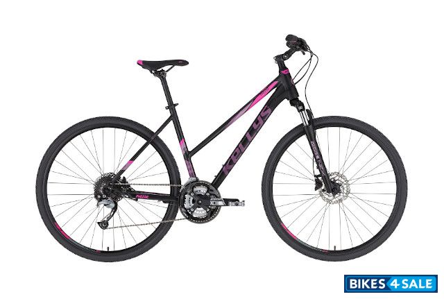 Kellys Pheebe 10 Dark Purple