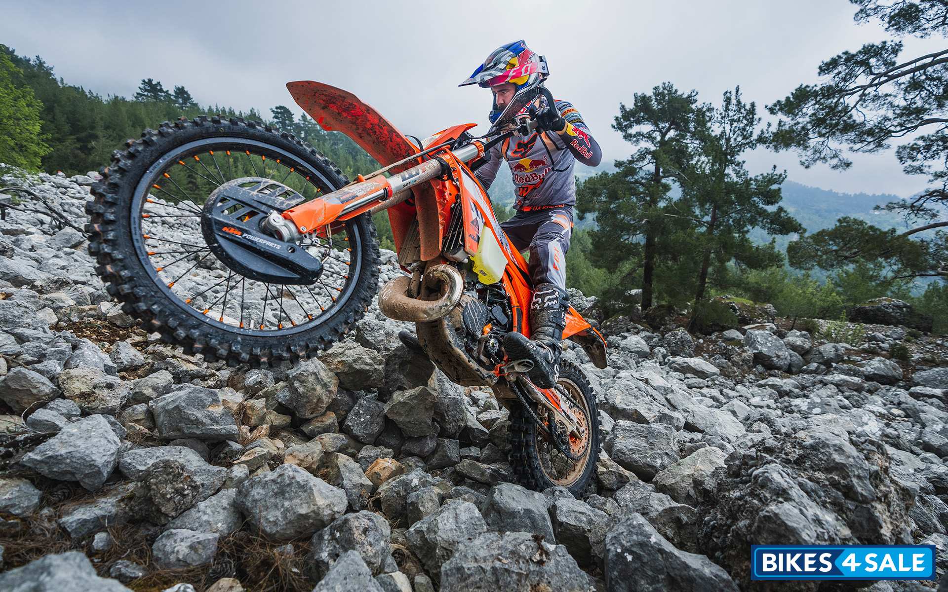 KTM 300 XC-W Hardenduro 2024