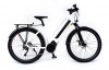 Leaos Commuter And Tourer E-Bike