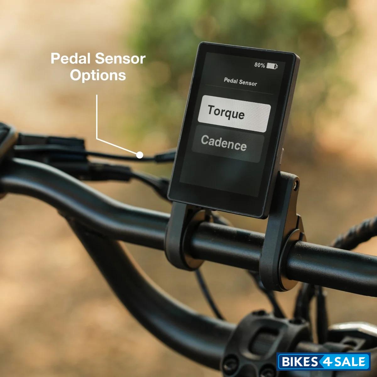 Lectric XP Trike2 750