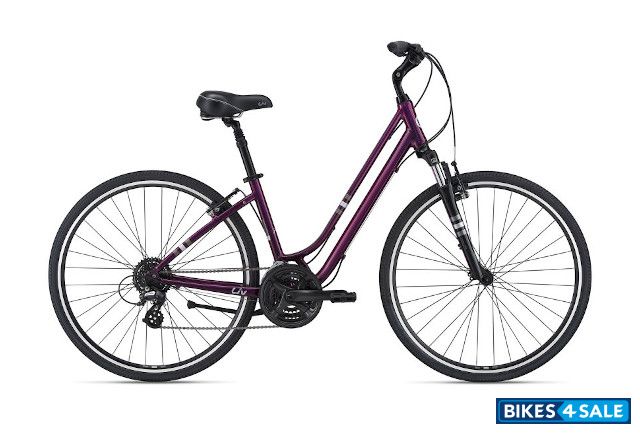 Liv Flourish FS 1 Liv Flourish FS 1