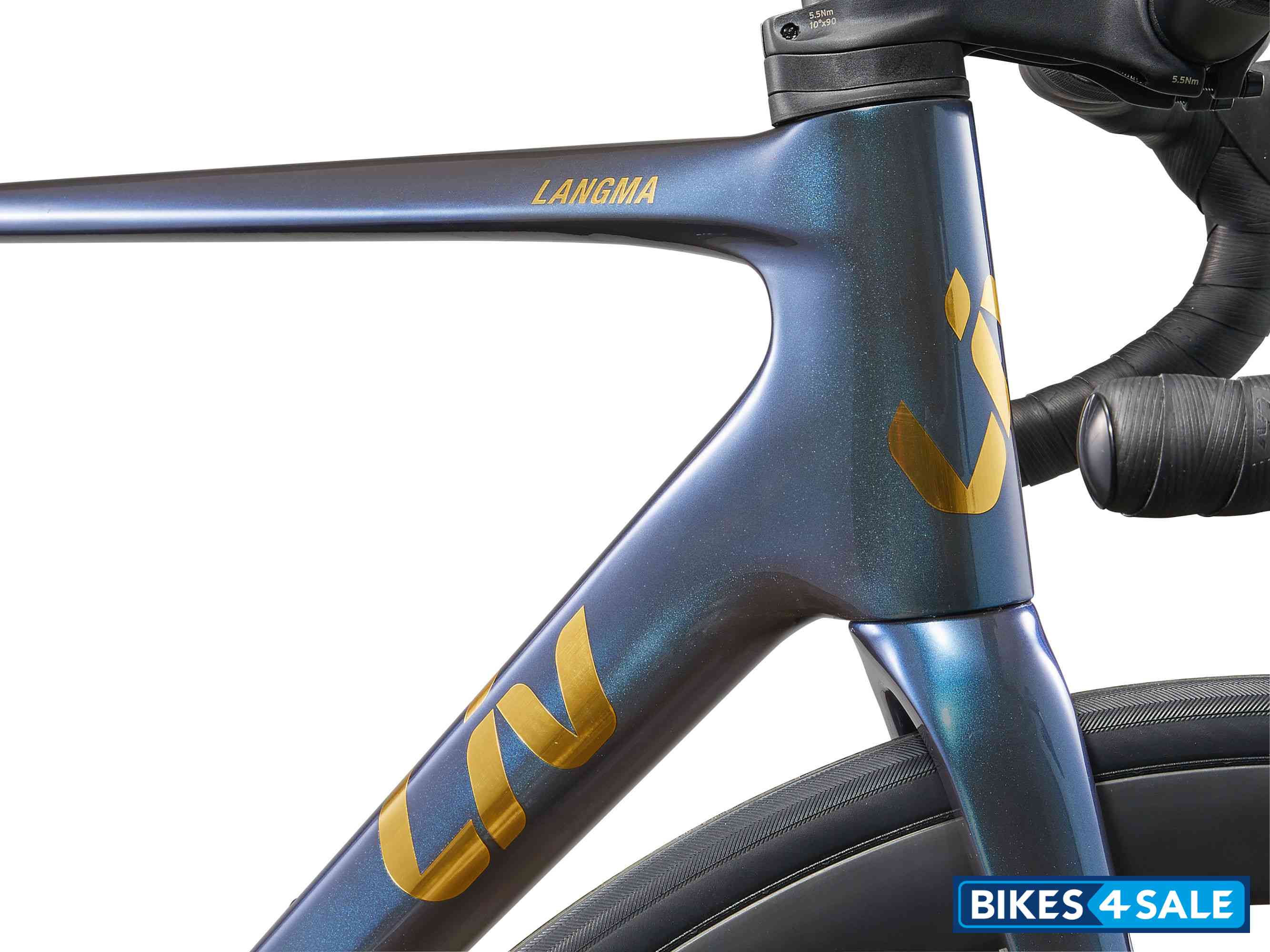 Liv Langma Advanced Pro 0 PC