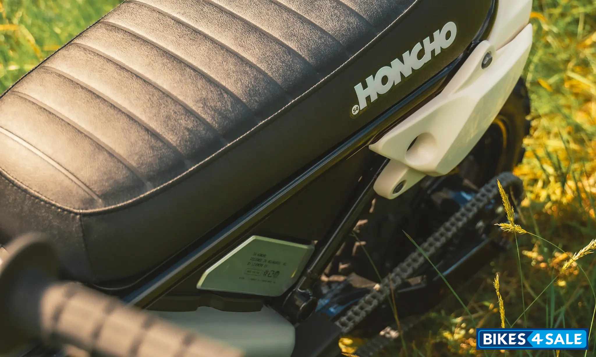 LiveWire S4 Honcho Trail