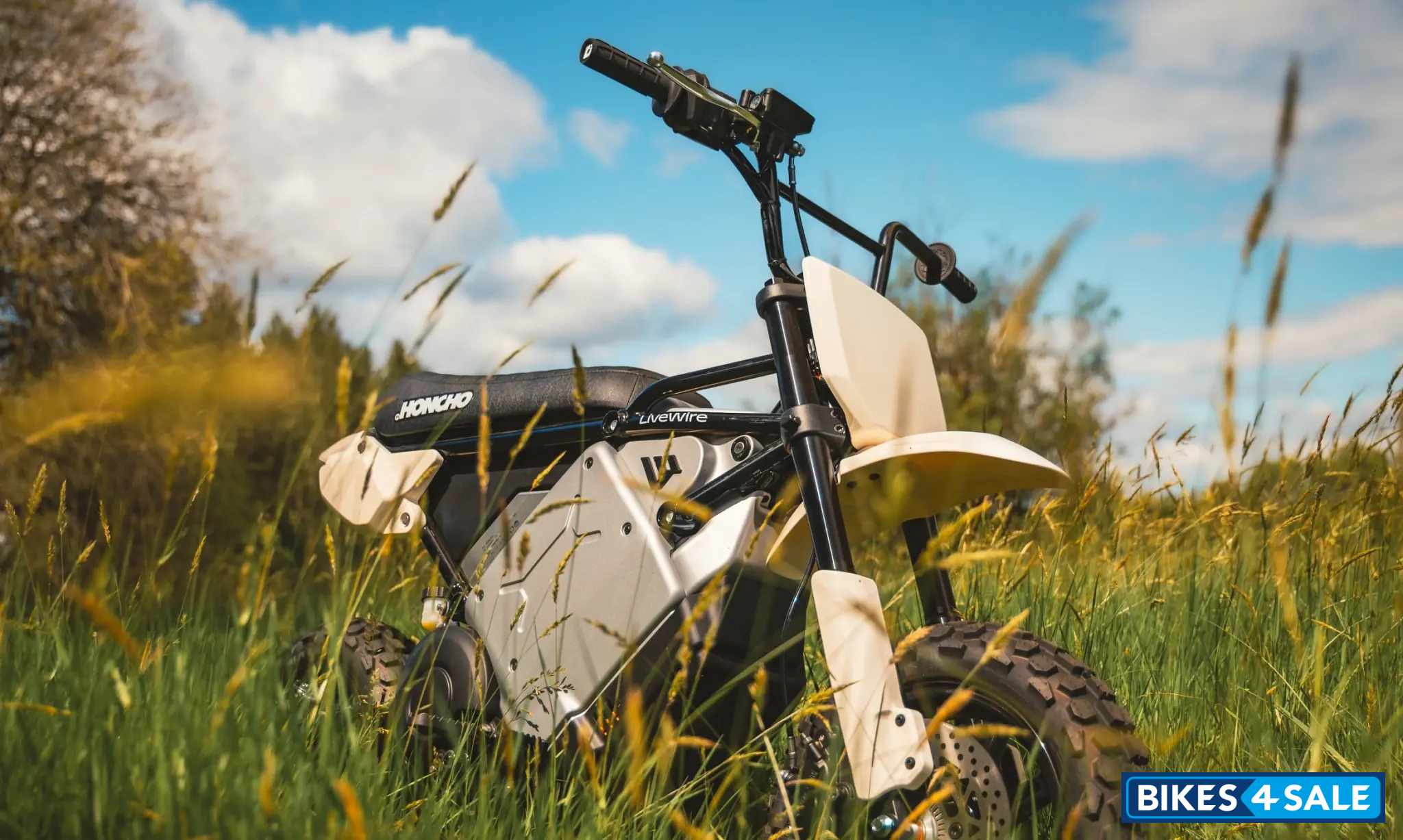 LiveWire S4 Honcho Trail