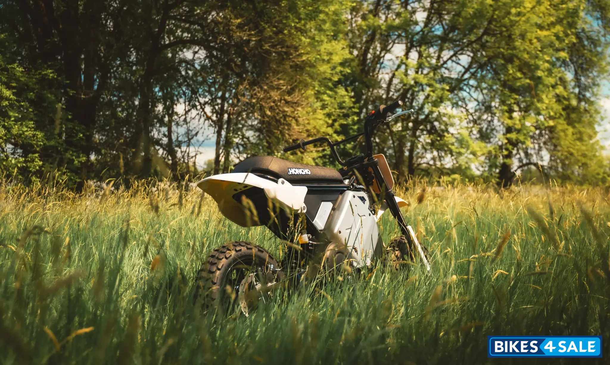 LiveWire S4 Honcho Trail