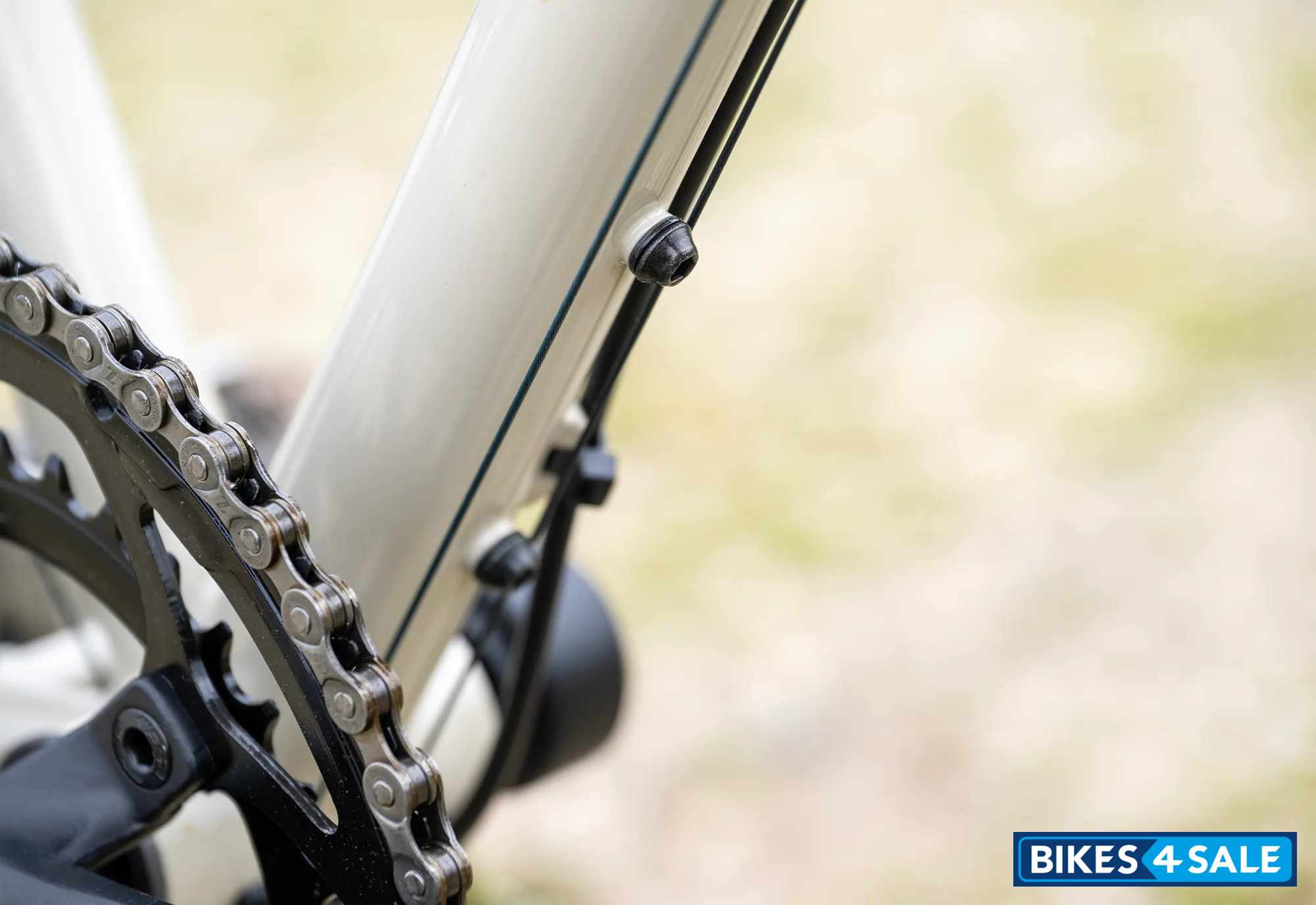 Marin Nicasio 1 2025